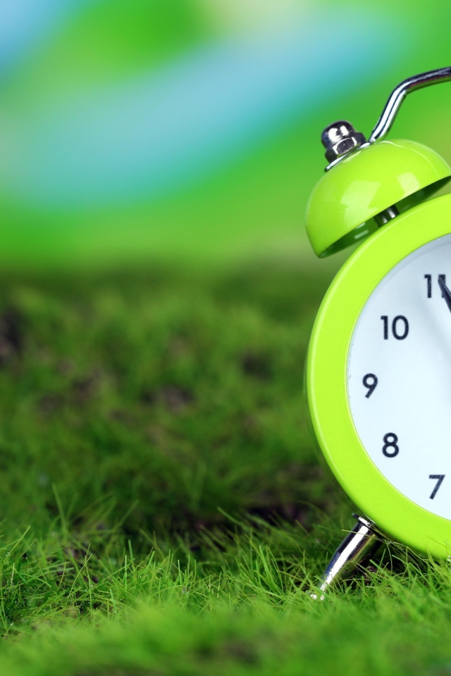 Зеленый будильник стоит на траве