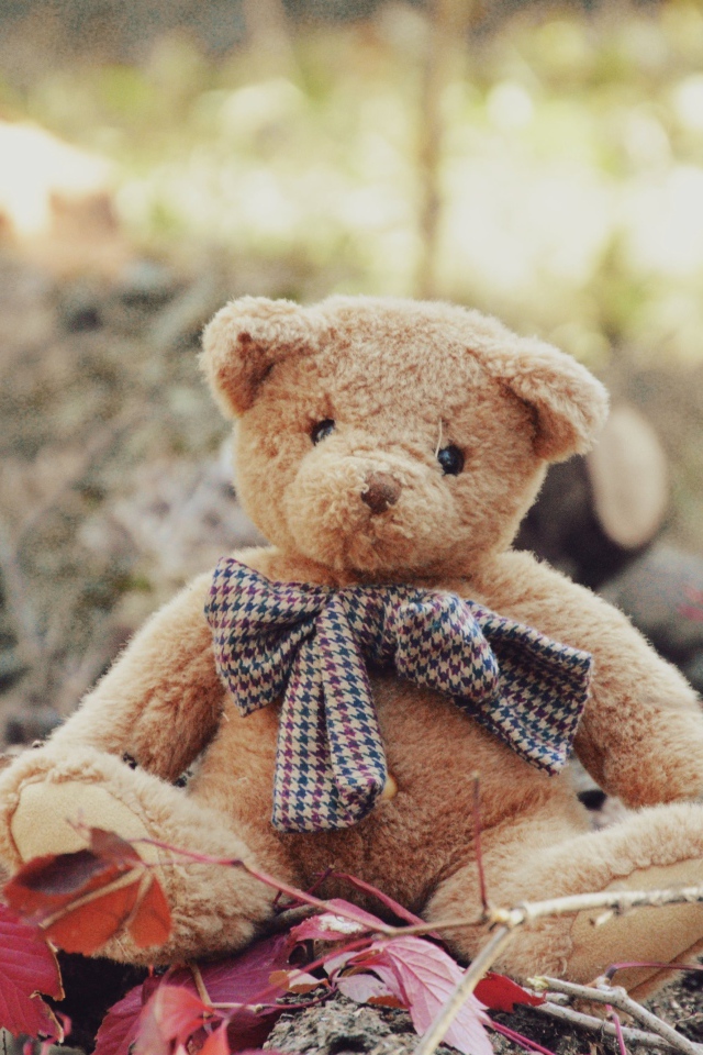 Маленький плюшевый мишка сидит на земле 