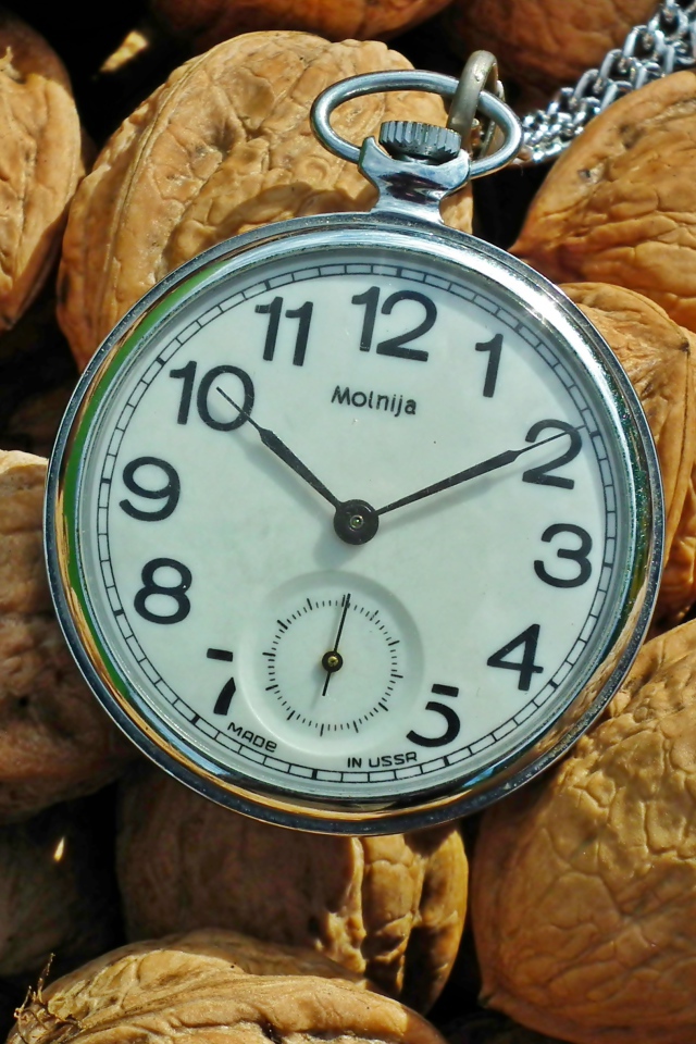 Карманные часы с грецкими орехами 