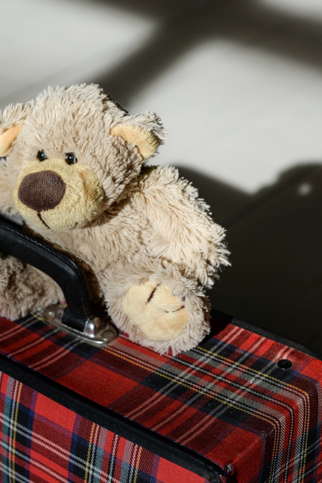Медвежонок Тедди с большим чемоданом 