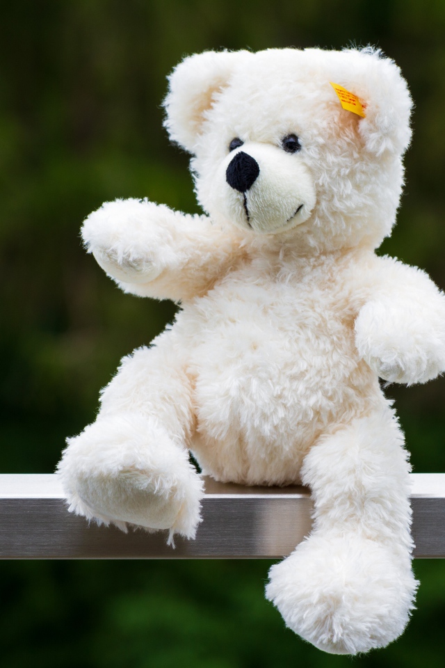 Белый плюшевый медведь сидит на деревянной доске