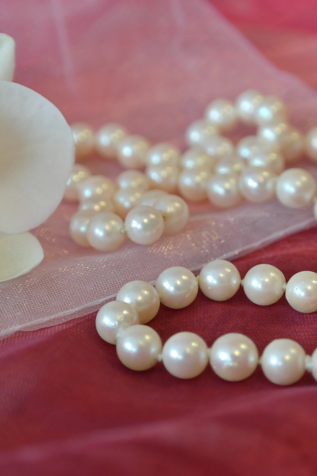 Красивое жемчужное ожерелье с цветком орхидеи