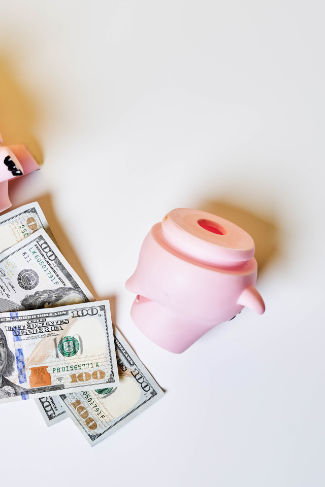 Свинья копилка с долларами на сером фоне 