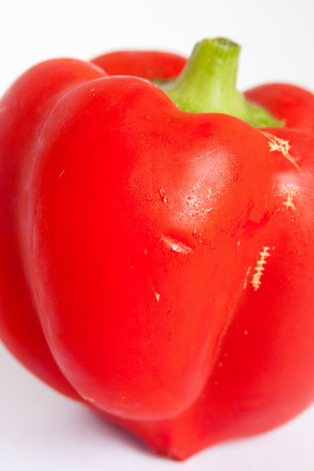 Большой красный болгарский перец на сером фоне