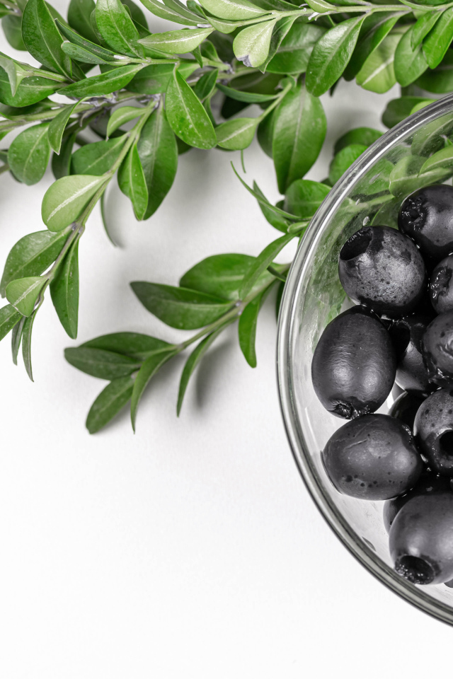 Черные маслины с веткой на белом фоне