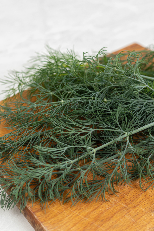 Свежий зеленый укроп на разделочной доске