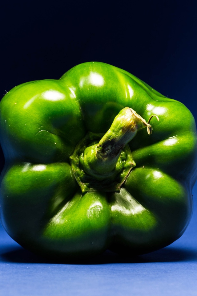 Зеленый перец паприка на синем фоне