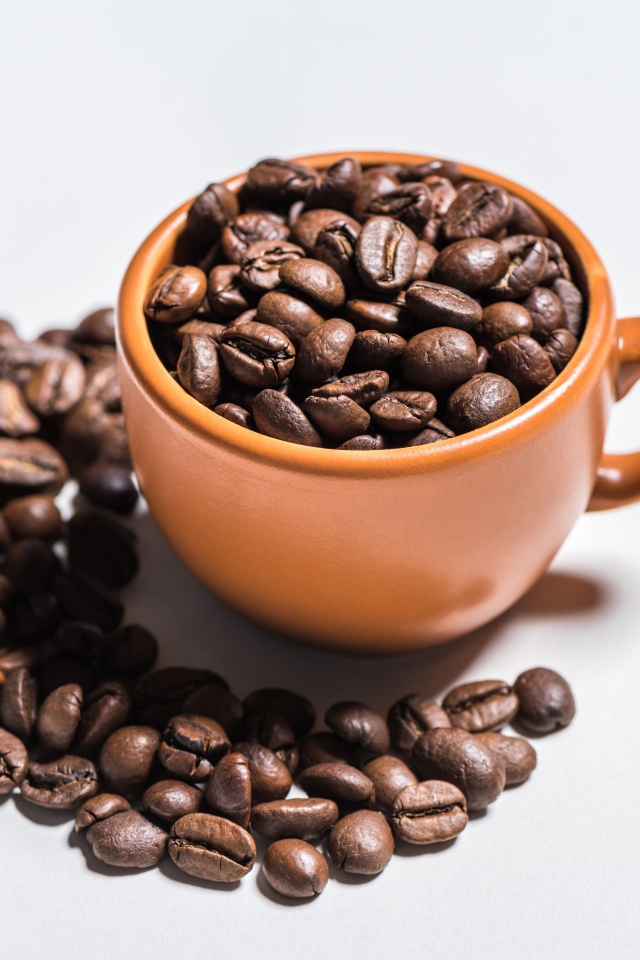 Жареные зерна кофе в кружке  на белом фоне