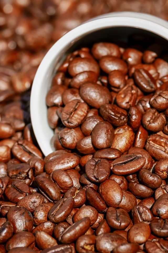 Обжаренные кофейные зерна на столе с чашкой