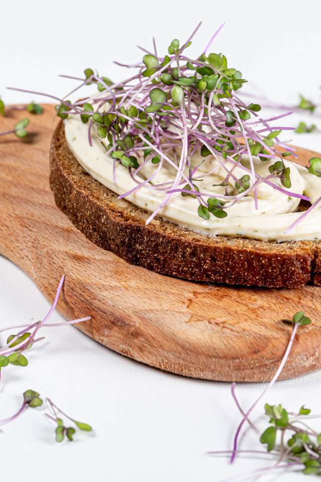 Бутерброд с соусом и зелеными ростками пшеницы