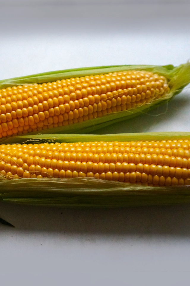Початок 2. Кукуруза на сером фоне. Початок кукурузы кудрявый. Пятерочка кукуруза в початках.