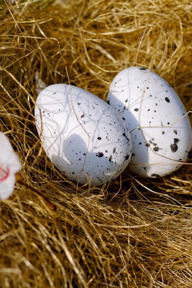 Два яйца лежат на сухой траве