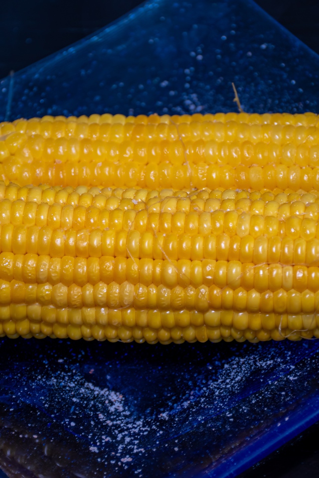 Два желтых початка кукурузы на синей тарелке