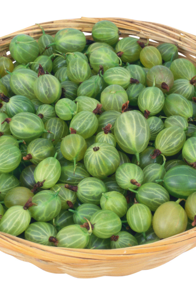 Зеленый крыжовник в корзинке на белом фоне