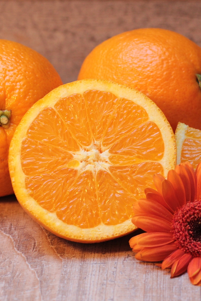 Оранжевые апельсины с цветком герберы