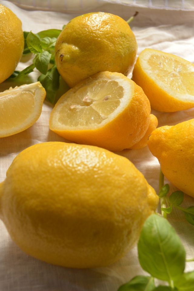 Желтые кислые лимоны с листьями базилика 