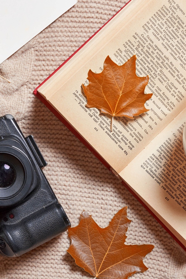 Книга с чашкой чая и фотоаппаратом на теплой кофте