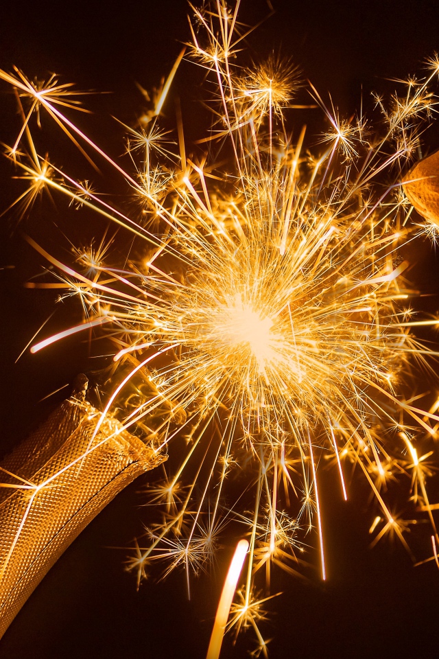 Бутылка шампанского с бенгальским огнем 