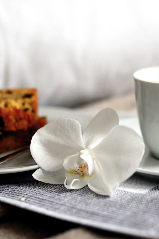 Чашка кофе на столе с цветком орхидеи и кусочками кекса 