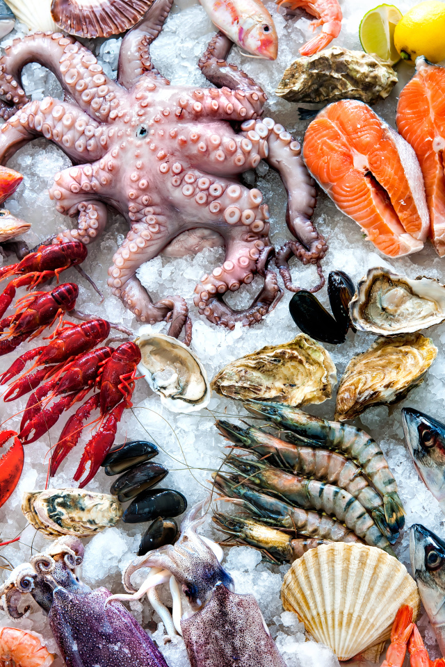 Свежие морепродукты со льдом крупным планом