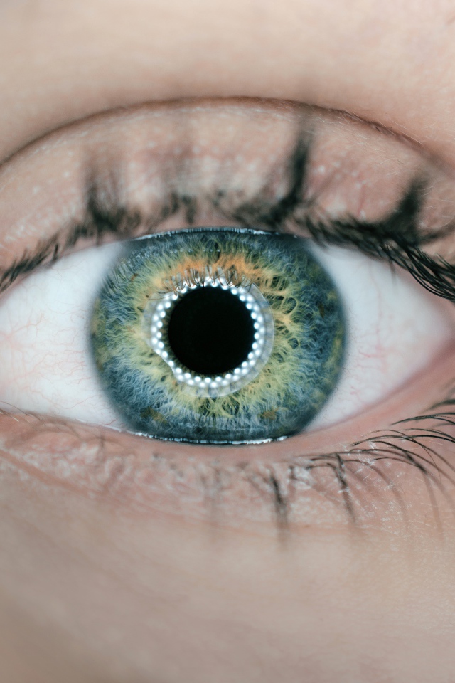 Красивый глаз девушки с длинными ресницами вблизи