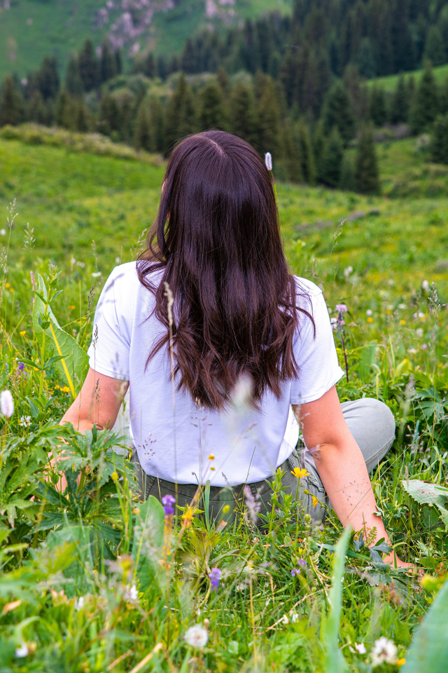 Красивая молодая девушка сидит на поле с зеленой травой