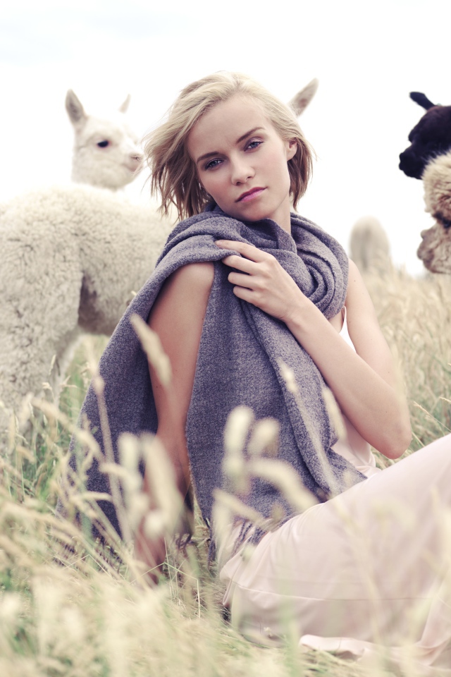 Девушка с детенышами альпаки на поле