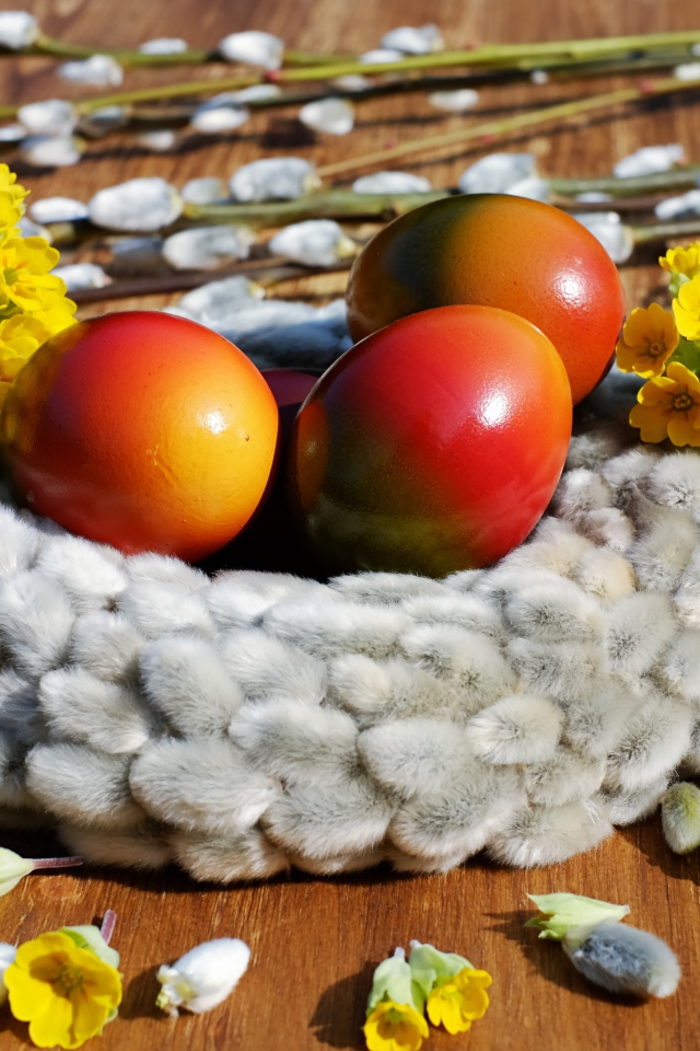 Яркие крашеные яйца с желтыми цветами и вербой на Пасху