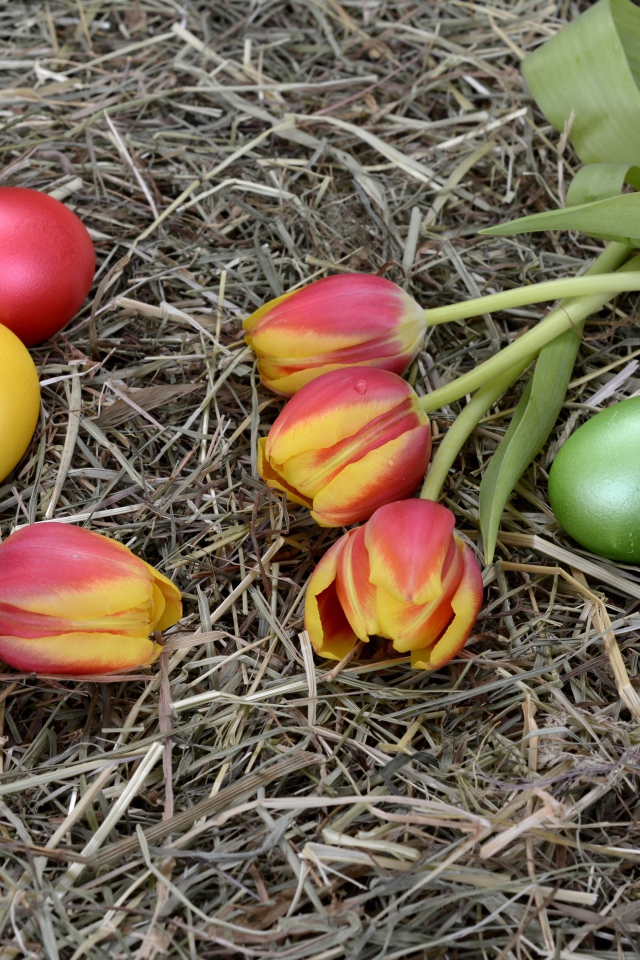 Крашеные яйца с тюльпанами на сене на праздник Пасха 2021
