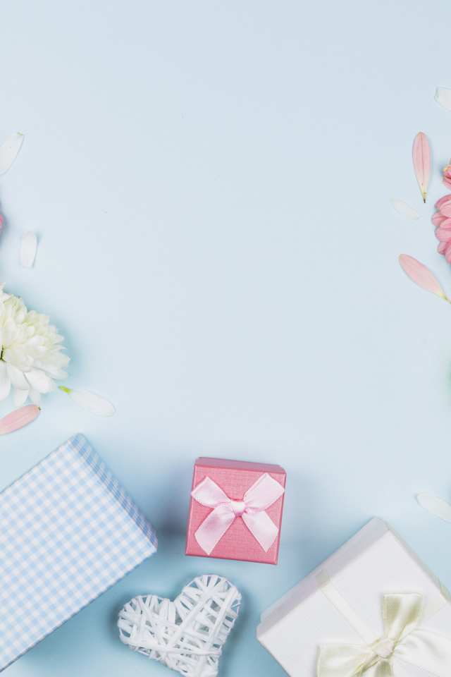 Цветы герберы и подарки на голубом фоне, шаблон поздравительной открытки на 8 марта