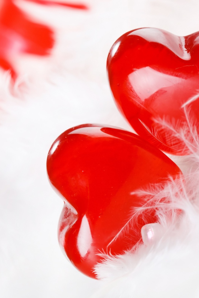 Два красных сердца с белым перьями