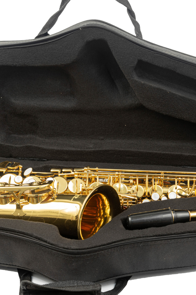 Саксофон в черном чехле на белом фоне