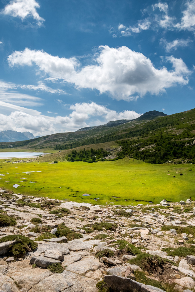 Красивое небо над зеленым лугом в горах 