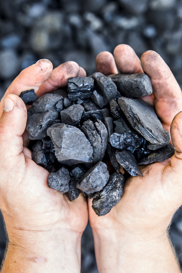 Каменный уголь в  руках у мужчины