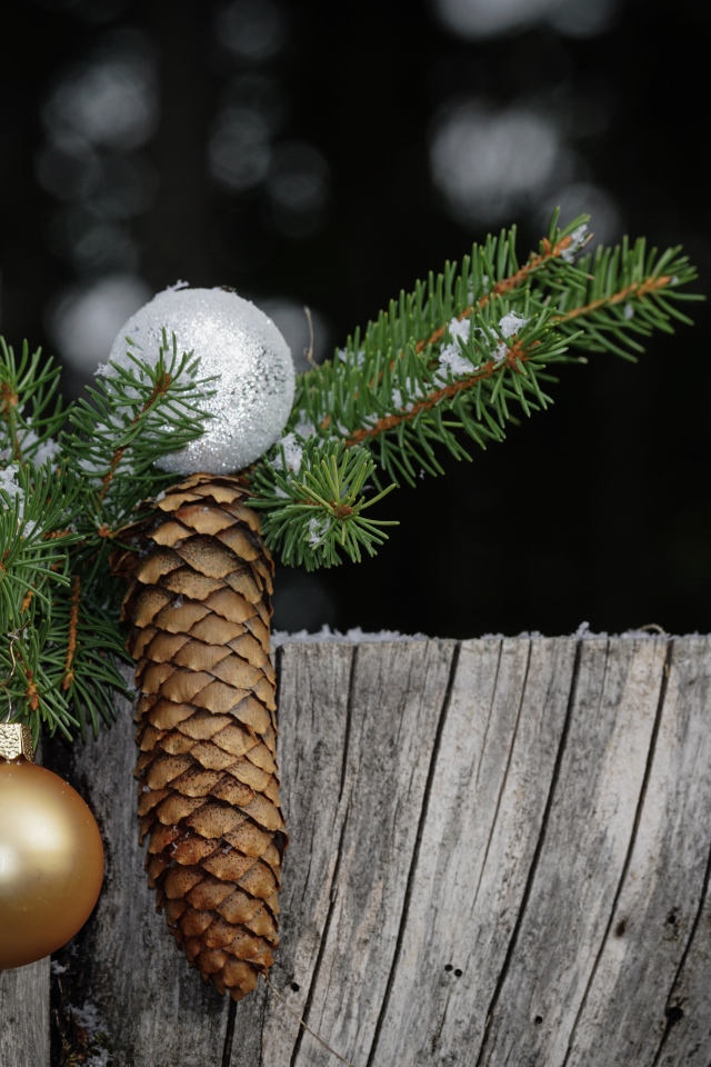 Зеленая ветка ели с шишкой и шариком на пне 