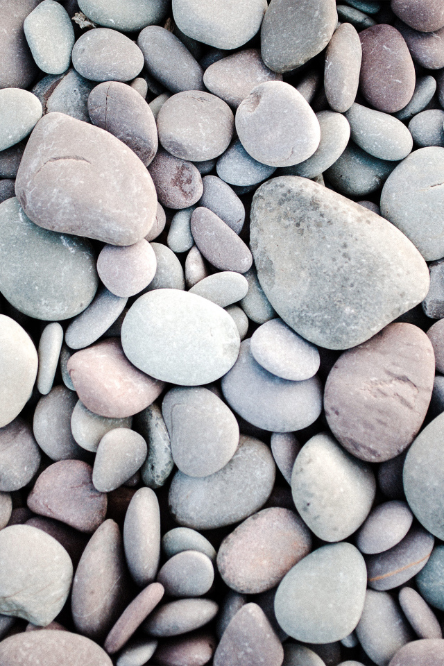 Много серых камней разной формы