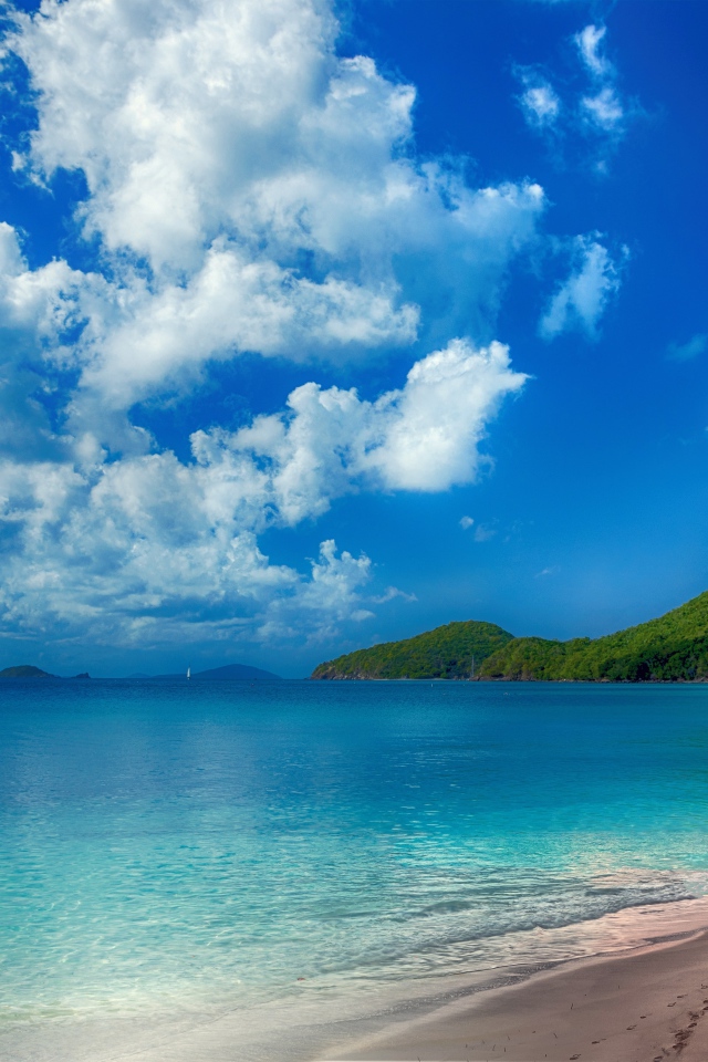 Красивый берег океана с чистой водой под голубым небом