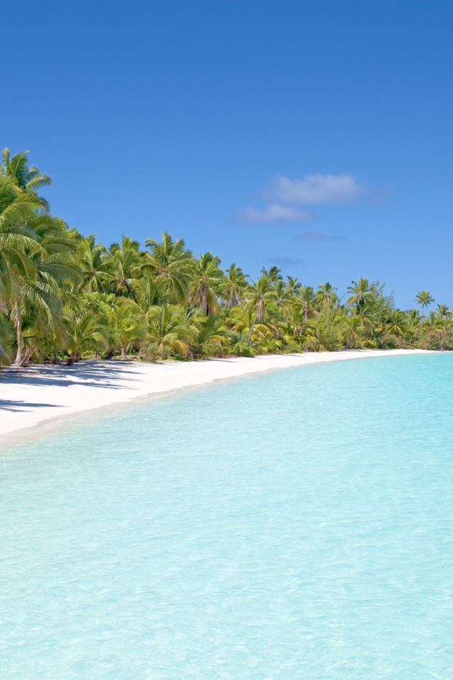 Чистый тропический пляж с голубой водой 