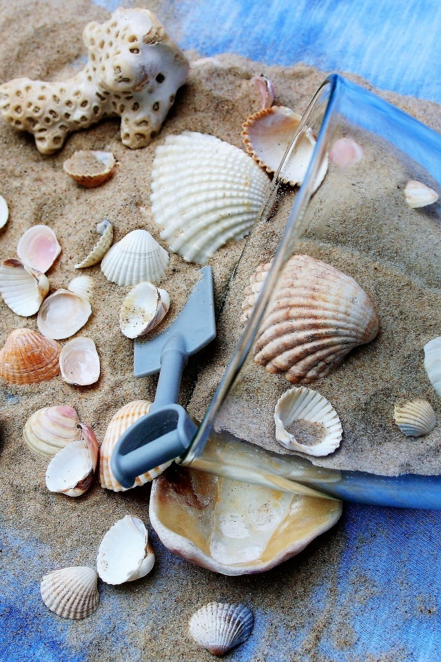 Морские ракушки и чашка с песком на пляже 