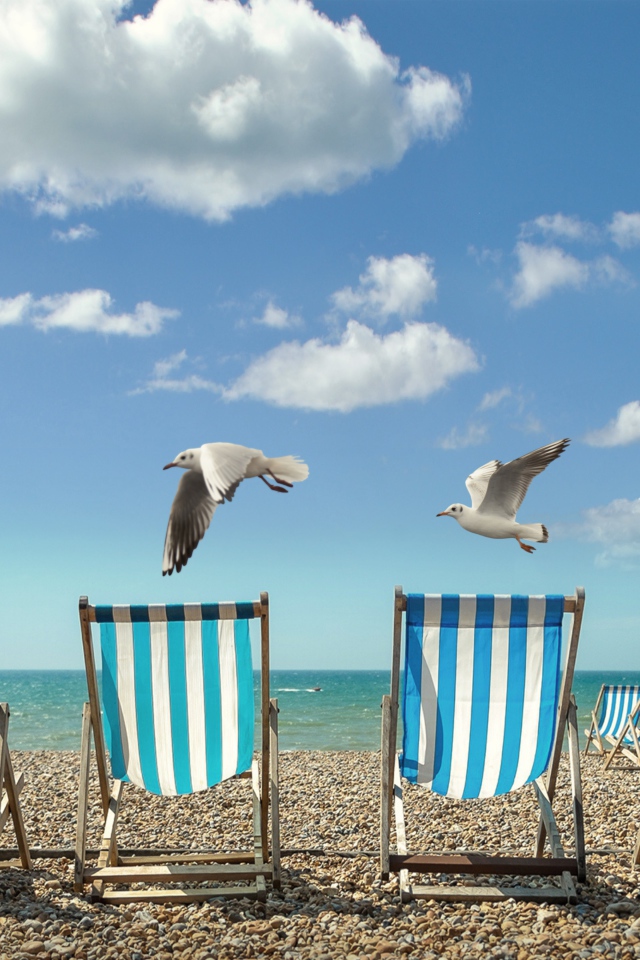 Шезлонги стоят на желтом песке у моря