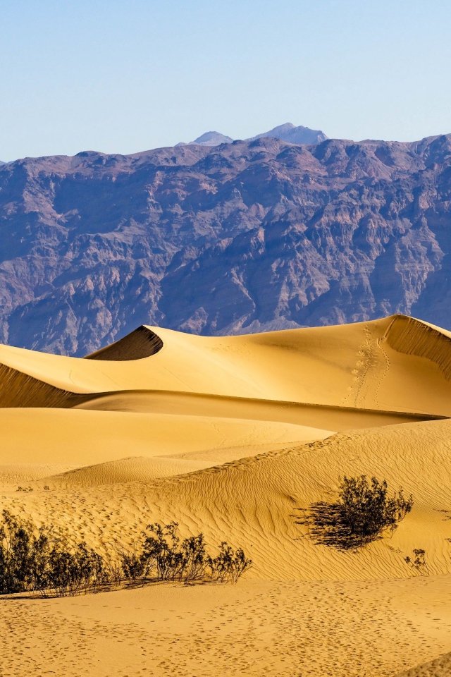 Красивые песчаные дюны у гор под голубым небом 