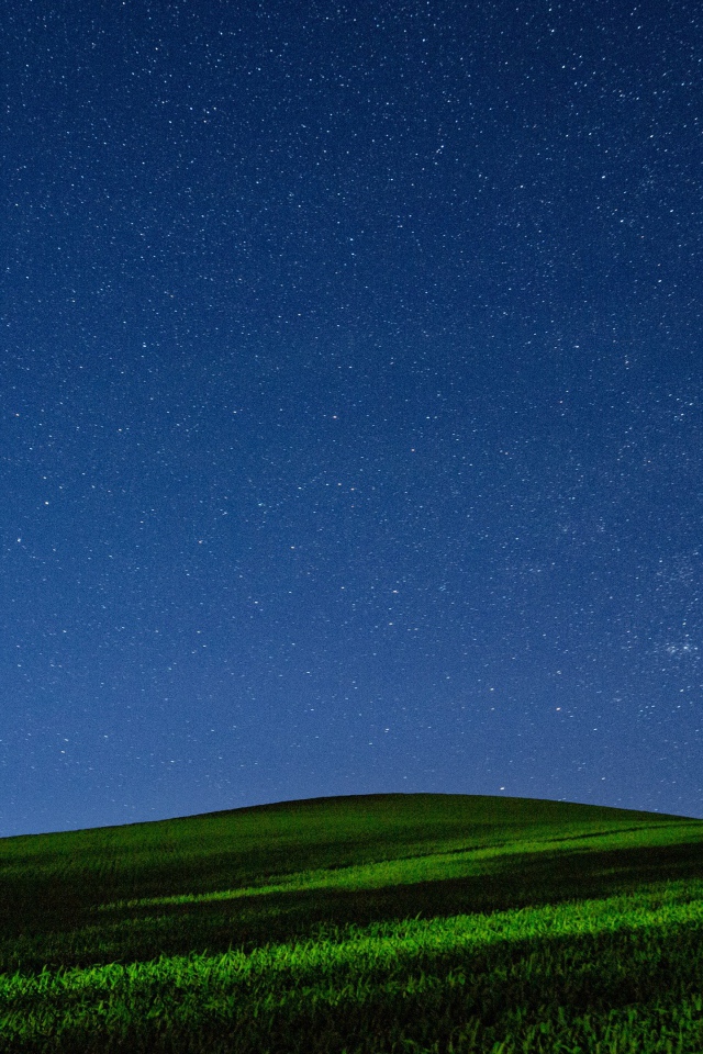 Красивое звездное ночное небо над зеленым полем