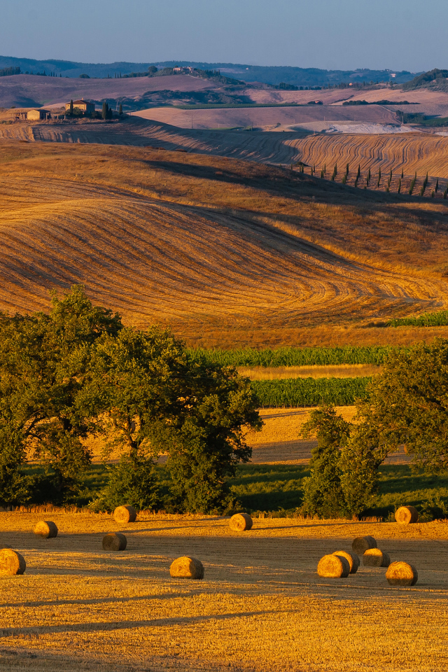 Снопы сена на поле в лучах солнца