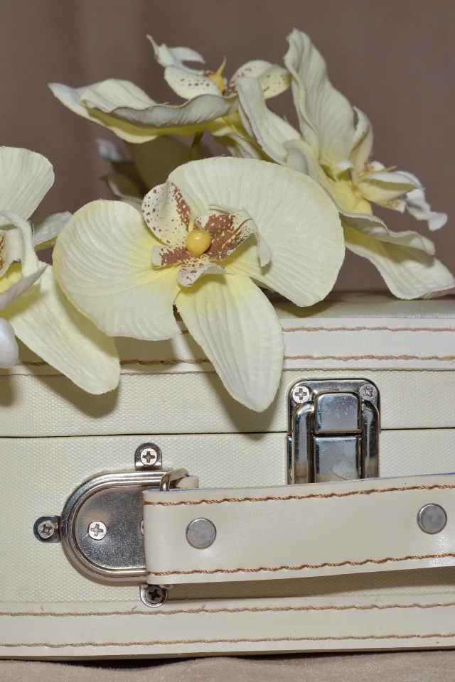 A branch of orchid flowers lies on a white suitcase