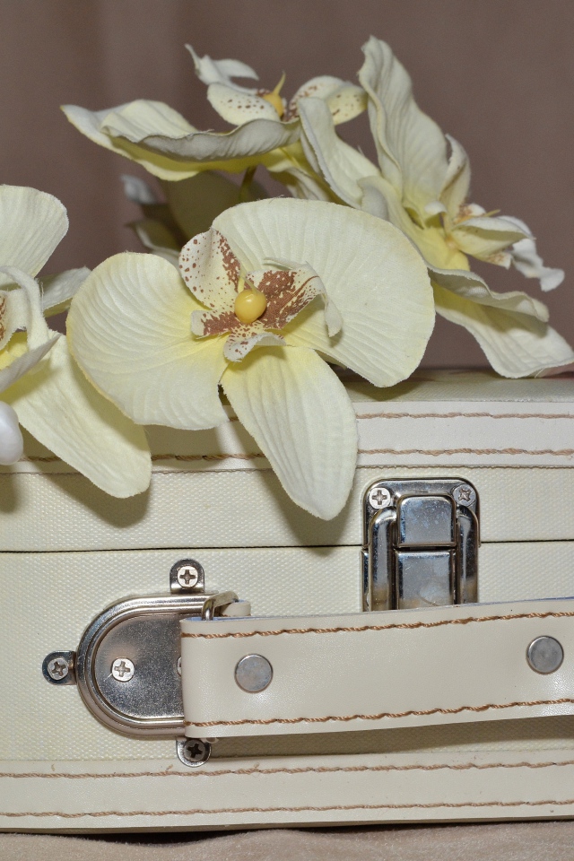 Ветка цветов орхидеи лежит на белом чемодане