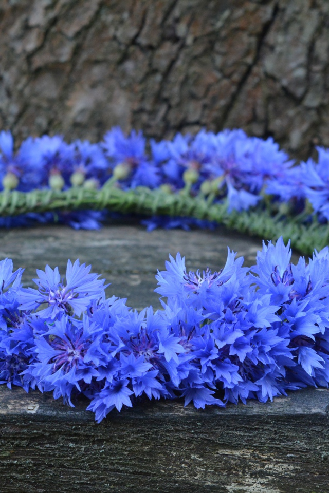 Венок из синих цветов василька на лавке