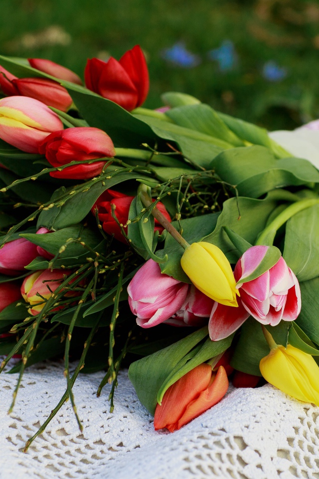 Красивый букет разноцветных тюльпанов на белой шали