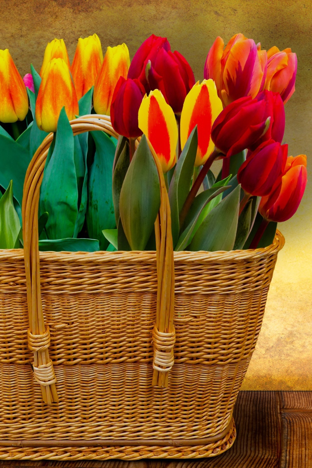 Красивый букет тюльпанов в корзине на фоне стены