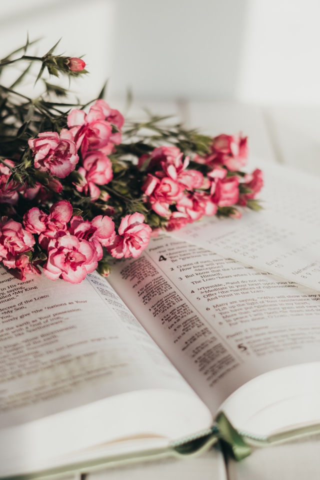 Букет розовых цветов гвоздики лежат на книге