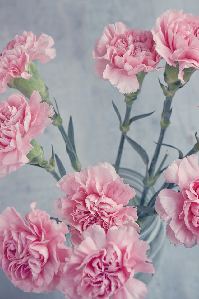 Букет розовых гвоздик в вазе на столе